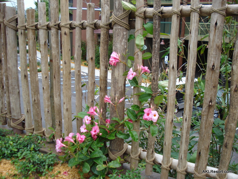 Flowers and Parking